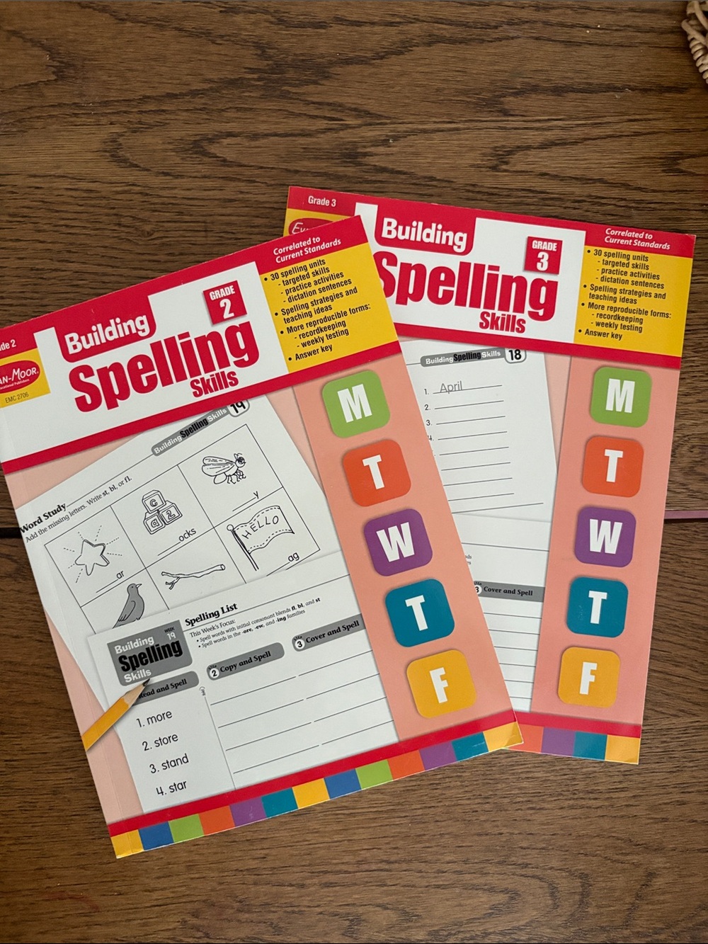 NEW Building Spelling Skills Grade 2 & 3 Workbook homeschool